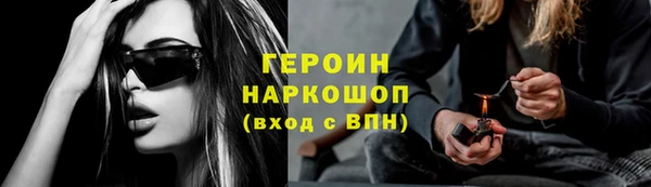 гидра Елизово