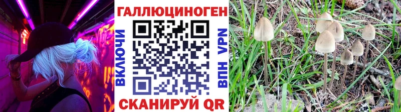 Галлюциногенные грибы GOLDEN TEACHER  хочу наркоту  Арск 